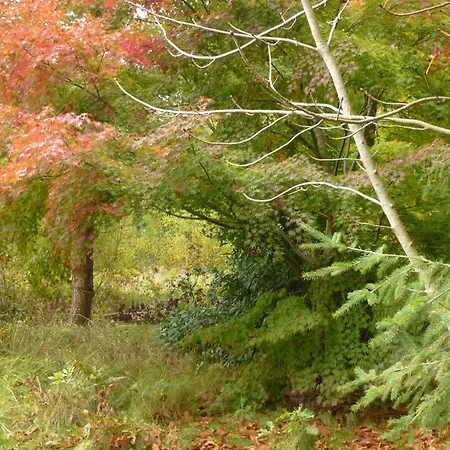 Bickbeerhuette Semesterbostad *