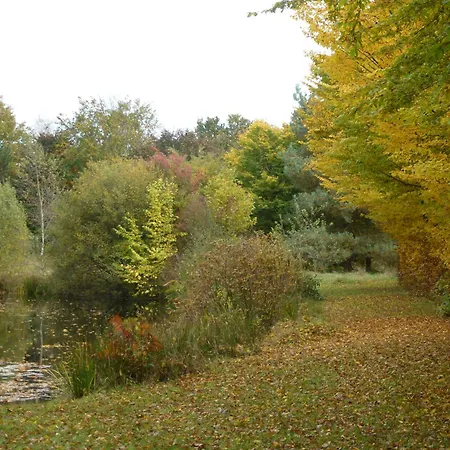 Semesterbostad Bickbeerhuette *