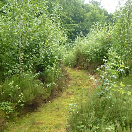 Bickbeerhuette * Westerstede